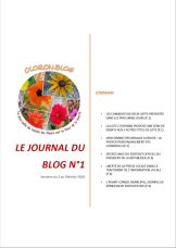 Le Journal du blog n°1